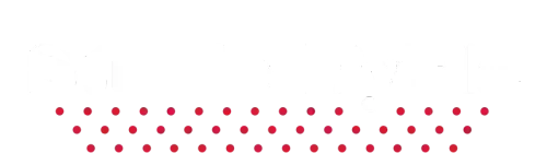 Studio PyHa